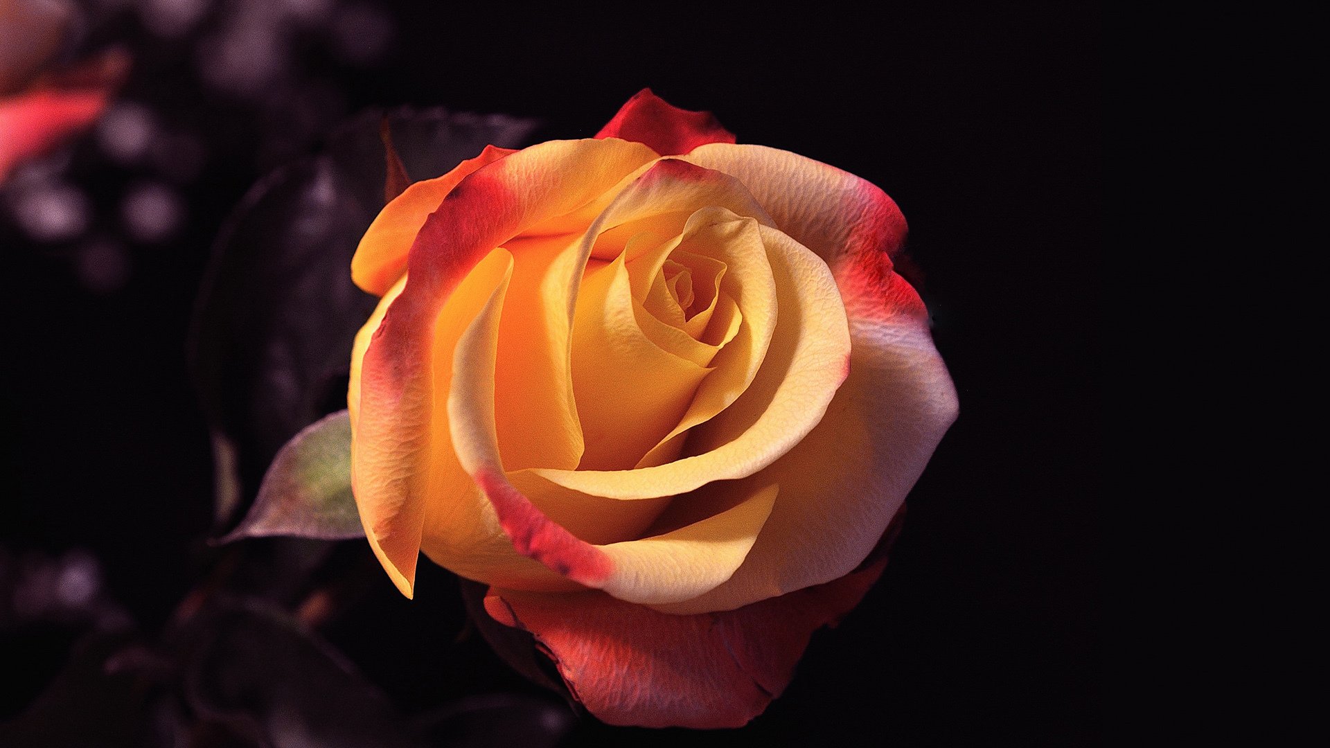 🚀 字节跳动大数据开发面经 2️⃣ 的封面