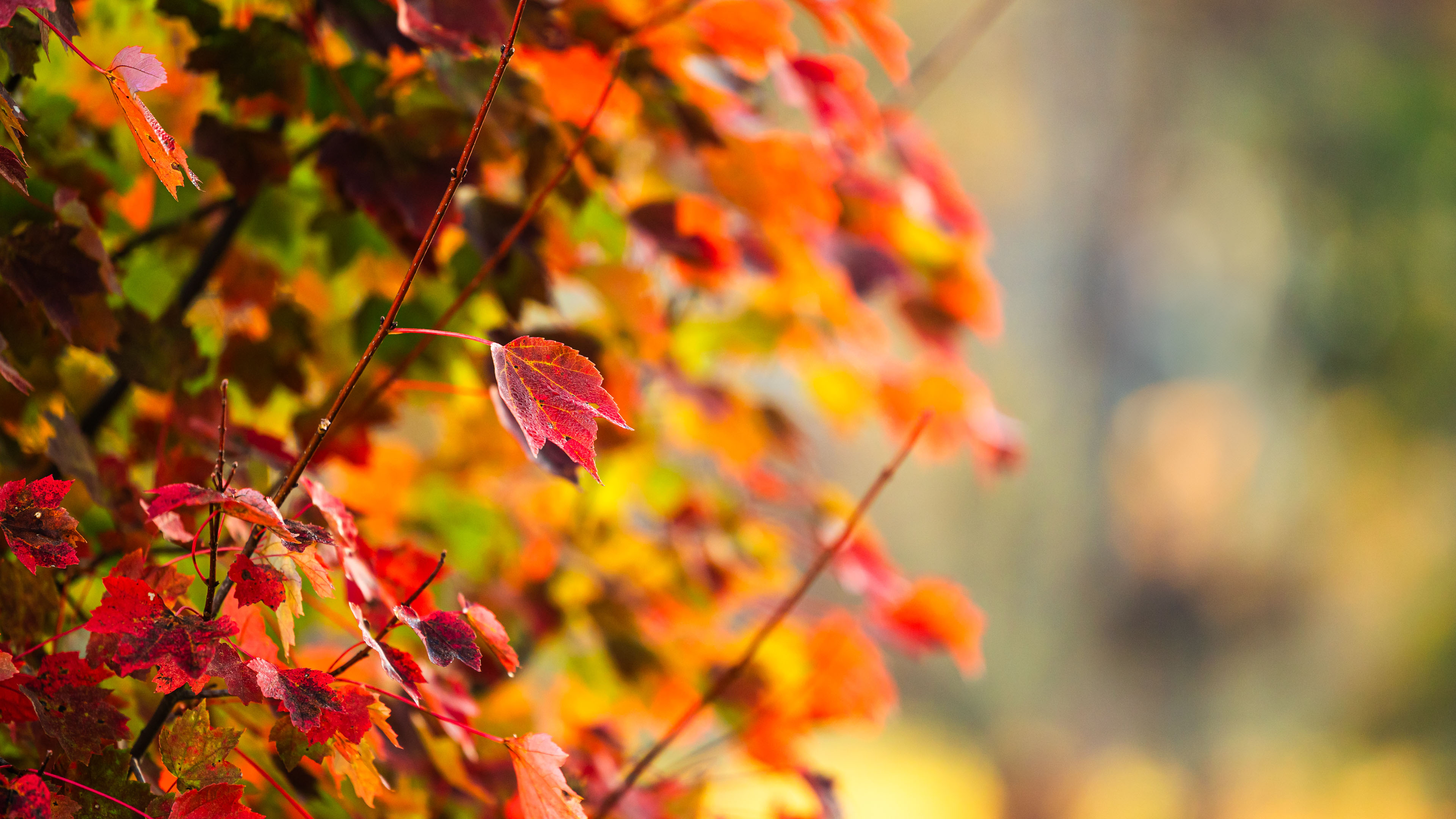 字节 Hive面试核心知识点笔记 📚 的封面